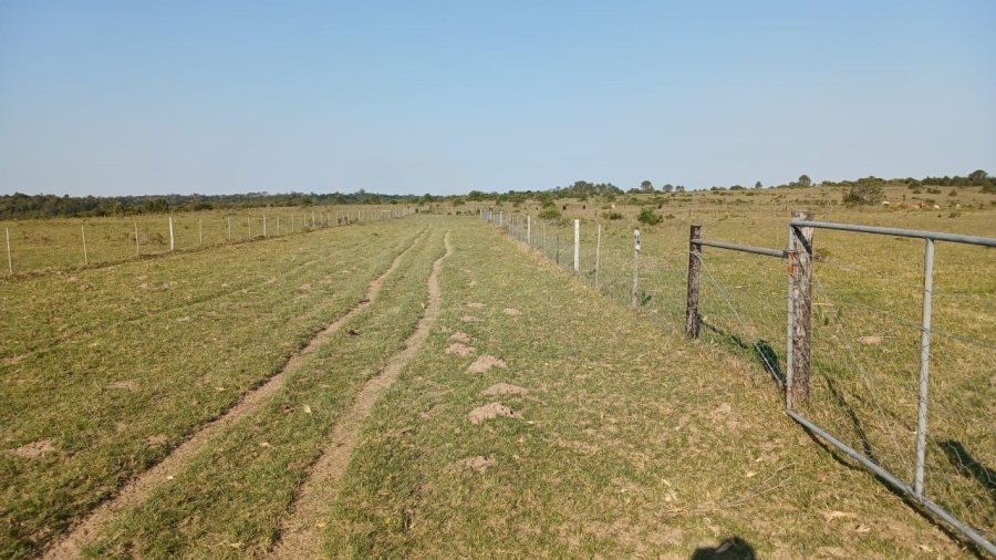 Commercial Property for Sale in Bathurst Eastern Cape